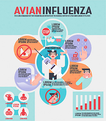 손 남자 일러스트 조류 그래프 주사기 신체부위 세명 농장 인포그래픽 만지기 의사 금지 닭 바이러스 예방 통화 손씻기 기침 신고 조류독감 증상 코로나바이러스 국내일러스트 AI파일 동물 농업 의료기기 모션 사람 의료진 씻기 전염병 파일형식 벡터