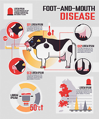 지도 일러스트 그래프 안전 사람없음 농장 인포그래픽 바이러스 젖소 레시피 침 수포 증상 살균 구제역 국내일러스트 AI파일 농업 소 파일형식 벡터