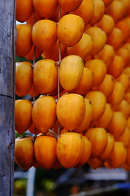 포토 JPG 주간 음식 건조 감 사람없음 야외 아웃포커스 가을 곶감 걸림 국내포토 자연요소 계절 과일 모션 촬영기법 건과일 파일형식