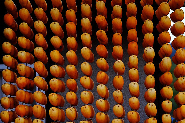 포토 JPG 주간 음식 건조 감 사람없음 야외 가을 곶감 걸림 국내포토 자연요소 계절 과일 모션 건과일 파일형식