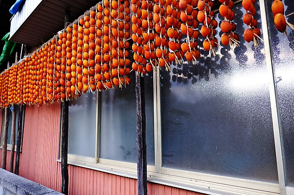 포토 JPG 주간 음식 창문 주택 건조 감 사람없음 야외 가을 곶감 걸림 국내포토 자연요소 계절 과일 모션 건물 건과일 파일형식