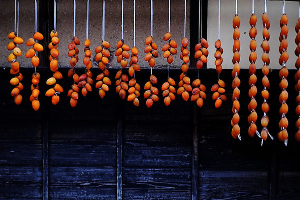 포토 JPG 주간 음식 건조 감 사람없음 야외 가을 곶감 걸림 국내포토 자연요소 계절 과일 모션 건과일 파일형식