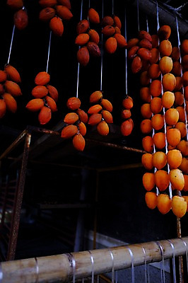 포토 JPG 주간 음식 건조 감 사람없음 야외 가을 곶감 걸림 국내포토 자연요소 계절 과일 모션 건과일 파일형식