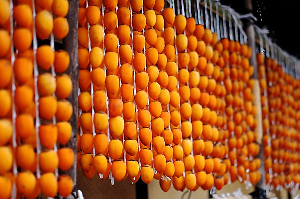 포토 JPG 주간 음식 건조 감 사람없음 야외 아웃포커스 가을 곶감 걸림 국내포토 자연요소 계절 과일 모션 촬영기법 건과일 파일형식