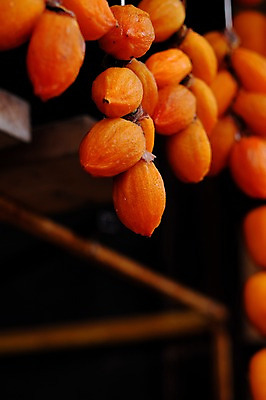 포토 JPG 주간 음식 건조 감 사람없음 야외 아웃포커스 가을 곶감 걸림 국내포토 자연요소 계절 과일 모션 촬영기법 건과일 파일형식