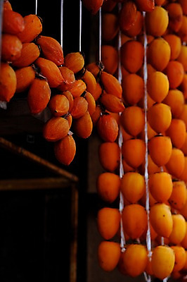 포토 JPG 주간 음식 건조 감 사람없음 야외 아웃포커스 가을 곶감 걸림 국내포토 자연요소 계절 과일 모션 촬영기법 건과일 파일형식