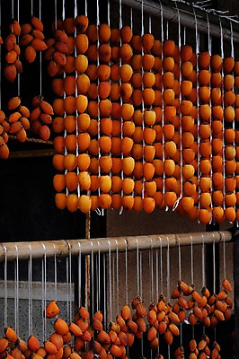 포토 JPG 주간 음식 건조 감 사람없음 야외 가을 곶감 걸림 국내포토 자연요소 계절 과일 모션 건과일 파일형식