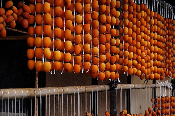 포토 JPG 주간 음식 건조 감 사람없음 야외 가을 곶감 걸림 국내포토 자연요소 계절 과일 모션 건과일 파일형식