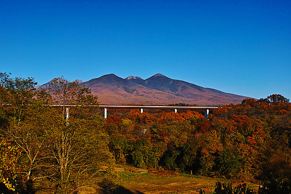 포토 JPG 주간 나무 단풍 자연 하늘 산 풍경 사람없음 야외 가을 다리 숲 가교 국내포토 자연요소 식물 건축물 계절 잎 생태계 파일형식