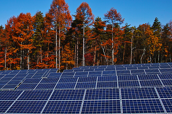 포토 JPG 주간 나무 단풍 자연 하늘 풍경 사람없음 야외 가을 숲 태양에너지 집열판 국내포토 자연요소 식물 계절 잎 그린에너지 생태계 파일형식