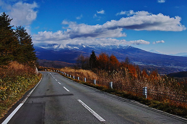 포토 JPG 주간 나무 구름 도로 자연 하늘 산 풍경 사람없음 야외 원근감 만년설 국내포토 자연요소 식물 길 뷰포인트 교통시설 생태계 파일형식
