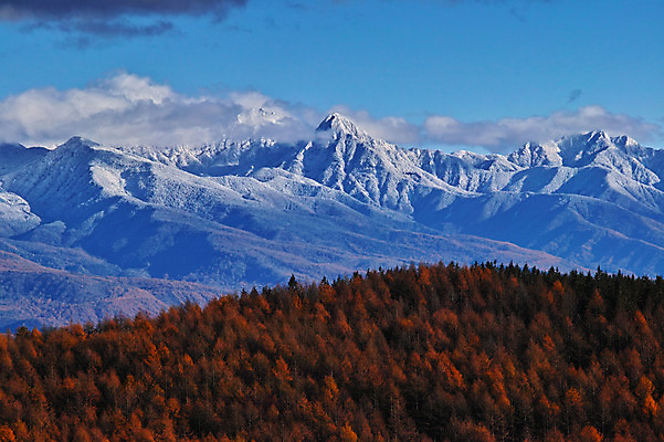 포토 JPG 주간 나무 구름 단풍 겨울 자연 하늘 산 풍경 사람없음 야외 눈 숲 겨울풍경 국내포토 자연요소 식물 계절 잎 생태계 파일형식