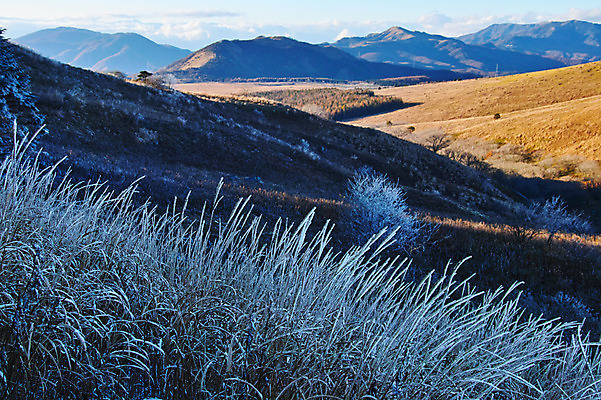 포토 JPG 주간 겨울 자연 산 갈대 풍경 사람없음 야외 얼음 겨울풍경 국내포토 자연요소 식물 계절 생태계 파일형식