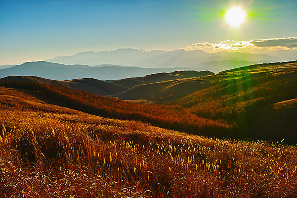 포토 JPG 주간 구름 자연 하늘 산 갈대 풍경 사람없음 야외 햇빛 일몰 국내포토 자연요소 식물 태양 노을 생태계 파일형식