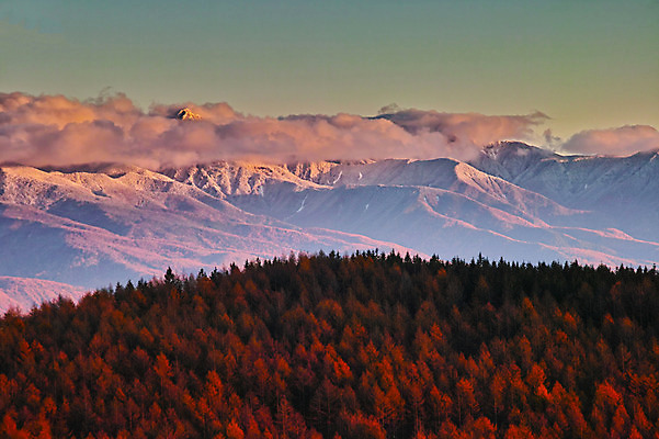 포토 JPG 주간 나무 구름 자연 하늘 산 풍경 사람없음 야외 일몰 숲 국내포토 자연요소 식물 노을 생태계 파일형식