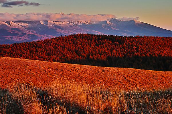 포토 JPG 주간 구름 자연 하늘 산 갈대 풍경 사람없음 야외 일몰 숲 국내포토 자연요소 식물 노을 생태계 파일형식