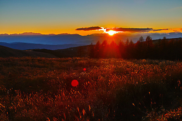 포토 JPG 주간 구름 자연 하늘 산 갈대 풍경 사람없음 야외 햇빛 노을 국내포토 자연요소 식물 태양 생태계 파일형식
