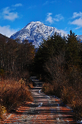 포토 JPG 주간 나무 구름 자연 하늘 산 풍경 사람없음 야외 숲 오솔길 만년설 국내포토 자연요소 식물 길 생태계 파일형식