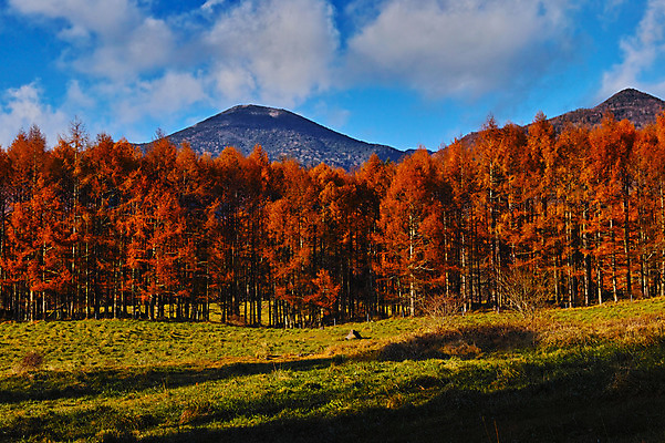포토 JPG 주간 나무 구름 단풍 자연 하늘 산 풍경 사람없음 야외 목장 가을 국내포토 자연요소 식물 계절 잎 생태계 파일형식