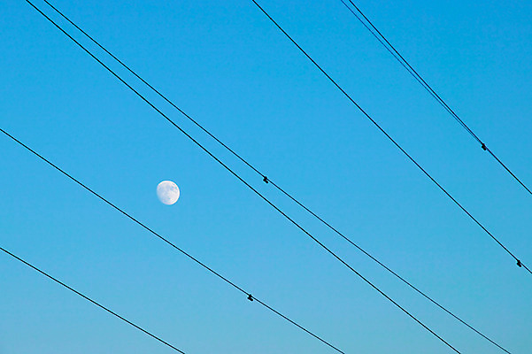 포토 JPG 주간 자연 하늘 풍경 사람없음 야외 전선 달 국내포토 자연요소 생태계 파일형식
