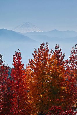 포토 JPG 주간 나무 구름 단풍 자연 산 풍경 사람없음 야외 가을 만년설 국내포토 자연요소 식물 계절 잎 생태계 파일형식
