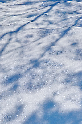 포토 JPG 주간 백그라운드 겨울 자연 그림자 풍경 사람없음 야외 설원 눈 겨울풍경 국내포토 자연요소 계절 날씨 눈_날씨 생태계 파일형식