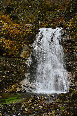 포토 JPG 주간 자연 풍경 사람없음 야외 계곡 폭포 흐름 가을 숲 국내포토 자연요소 계절 컨셉 생태계 파일형식