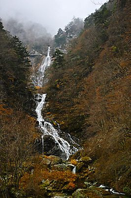 포토 JPG 주간 나무 자연 풍경 사람없음 야외 계곡 폭포 안개 가을 숲 국내포토 자연요소 식물 계절 날씨 생태계 파일형식