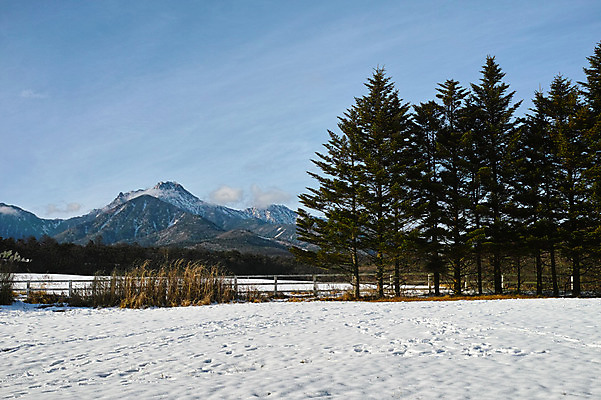 포토 JPG 주간 나무 구름 겨울 자연 하늘 산 풍경 사람없음 야외 눈 겨울풍경 국내포토 자연요소 식물 계절 날씨 생태계 파일형식