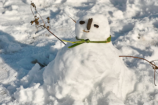 포토 JPG 주간 겨울 자연 눈사람 사람없음 야외 나뭇가지 눈 국내포토 자연요소 나무 계절 날씨 생태계 파일형식