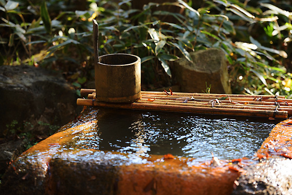 포토 JPG 주간 일본문화 사람없음 야외 아웃포커스 물 일본 대나무 일본전통 우물 국내포토 자연요소 나무 동양문화 전통 아시아 외국문화 촬영기법 파일형식