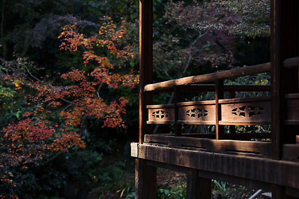 포토 JPG 주간 나무 일본문화 사람없음 야외 아웃포커스 일본 일본전통 일본건축 목조주택 국내포토 자연요소 식물 동양문화 전통 아시아 외국문화 촬영기법 동양건축 파일형식