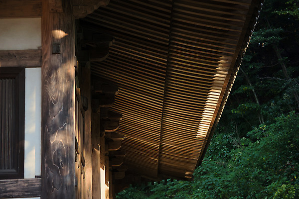 포토 JPG 주간 일본문화 주택 사람없음 야외 일본 일본전통 처마 일본건축 목조주택 일본가옥 국내포토 자연요소 동양문화 전통 아시아 외국문화 건물 동양건축 파일형식