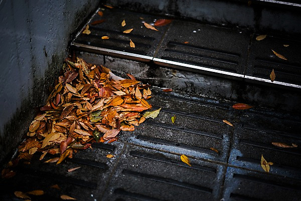 포토 JPG 주간 낙엽 거리풍경 사람없음 야외 계단 젖음 가을 국내포토 자연요소 계절 잎 거리 풍경 파일형식