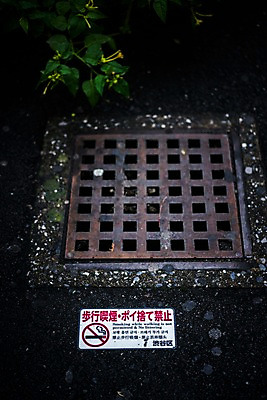 포토 JPG 주간 나뭇잎 거리풍경 사람없음 야외 일본 표지판 일본어 금연 하수구 국내포토 자연요소 문자 시설물 아시아 캠페인 잎 거리 알림판 풍경 사회이슈 파일형식