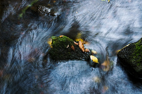 포토 JPG 주간 자연 이끼 풍경 사람없음 야외 물 흐름 개울 국내포토 자연요소 컨셉 강 생태계 파일형식