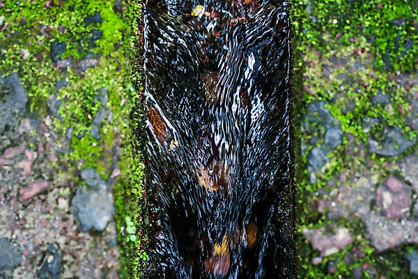 포토 JPG 주간 자연 풍경 사람없음 야외 물흐름 국내포토 자연요소 흐름 생태계 파일형식