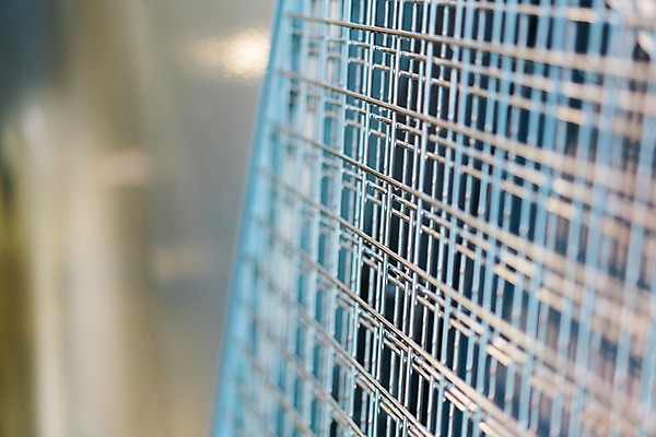 포토 JPG 주간 사람없음 야외 아웃포커스 철조망 철망 국내포토 자연요소 촬영기법 파일형식