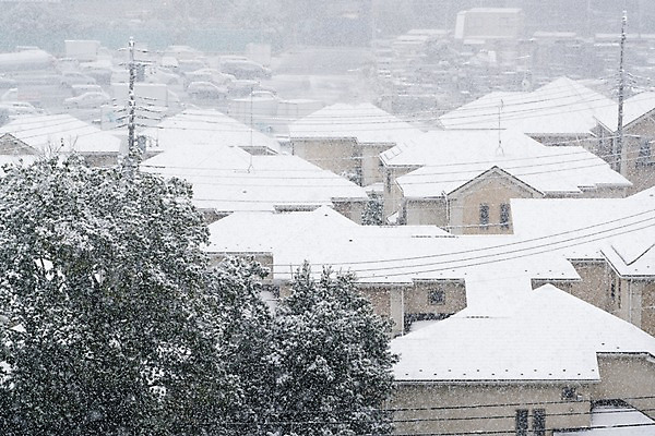 포토 JPG 주간 나무 겨울 주택 풍경 사람없음 야외 마을 눈 겨울풍경 국내포토 자연요소 식물 계절 날씨 건물 파일형식