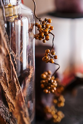 포토 JPG 열매 유리병 근접촬영 사람없음 아웃포커스 오브젝트 국내포토 식물 뷰포인트 병_용기 촬영기법 파일형식