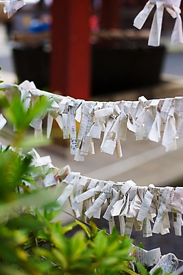 포토 JPG 주간 일본문화 사람없음 야외 아웃포커스 일본 운세 사찰 일본전통 소원 미신 소원빌기 오미쿠지 국내포토 자연요소 동양문화 전통 아시아 외국문화 종교건축 촬영기법 파일형식