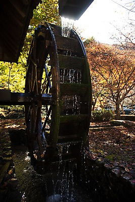 포토 JPG 주간 나무 풍경 사람없음 야외 물레방아 물흐름 국내포토 자연요소 식물 흐름 파일형식