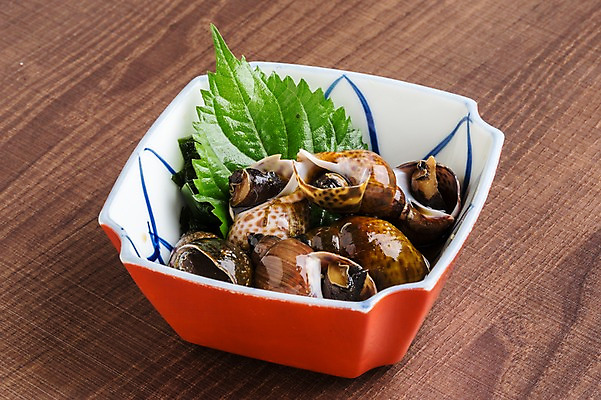 포토 JPG 음식 실내 근접촬영 사람없음 골뱅이 일본음식 국내포토 뷰포인트 어패류 내부 파일형식