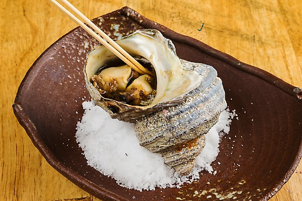 포토 JPG 접시 음식 실내 근접촬영 사람없음 소라 일본음식 국내포토 식기 뷰포인트 어패류 내부 파일형식