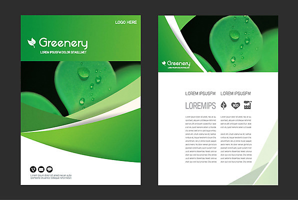 일러스트 자연 나뭇잎 사람없음 연두색 물방울 그리너리 국내일러스트 AI파일 잎 초록색 생태계 파일형식 벡터 트랜드컬러