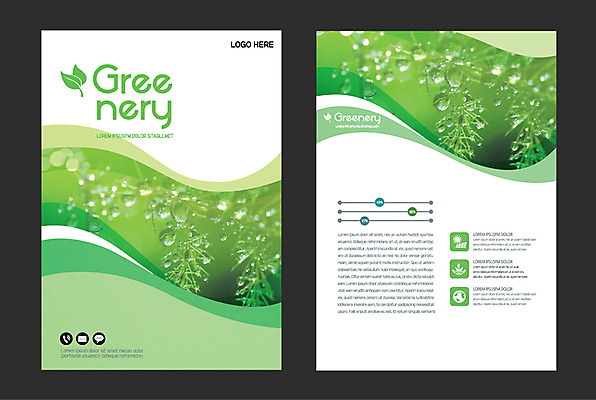 잎 일러스트 자연 사람없음 연두색 이슬 그리너리 국내일러스트 AI파일 식물 초록색 생태계 파일형식 벡터 트랜드컬러