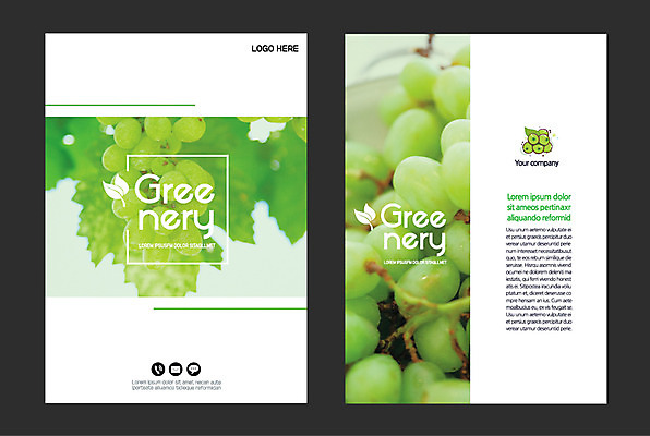 일러스트 자연 사람없음 연두색 청포도 그리너리 국내일러스트 AI파일 포도 초록색 생태계 파일형식 벡터 트랜드컬러