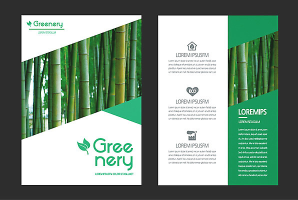 일러스트 자연 사람없음 연두색 대나무 그리너리 국내일러스트 AI파일 나무 초록색 생태계 파일형식 벡터 트랜드컬러