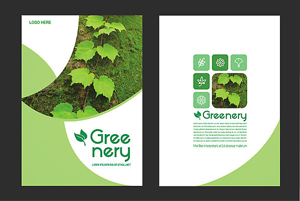 일러스트 자연 나뭇잎 사람없음 연두색 덩굴 그리너리 국내일러스트 AI파일 식물 잎 초록색 생태계 파일형식 벡터 트랜드컬러