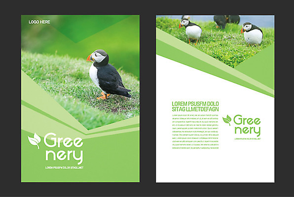 여러마리 일러스트 초원 사람없음 연두색 퍼핀 그리너리 국내일러스트 AI파일 다수 조류 초록색 파일형식 벡터 트랜드컬러